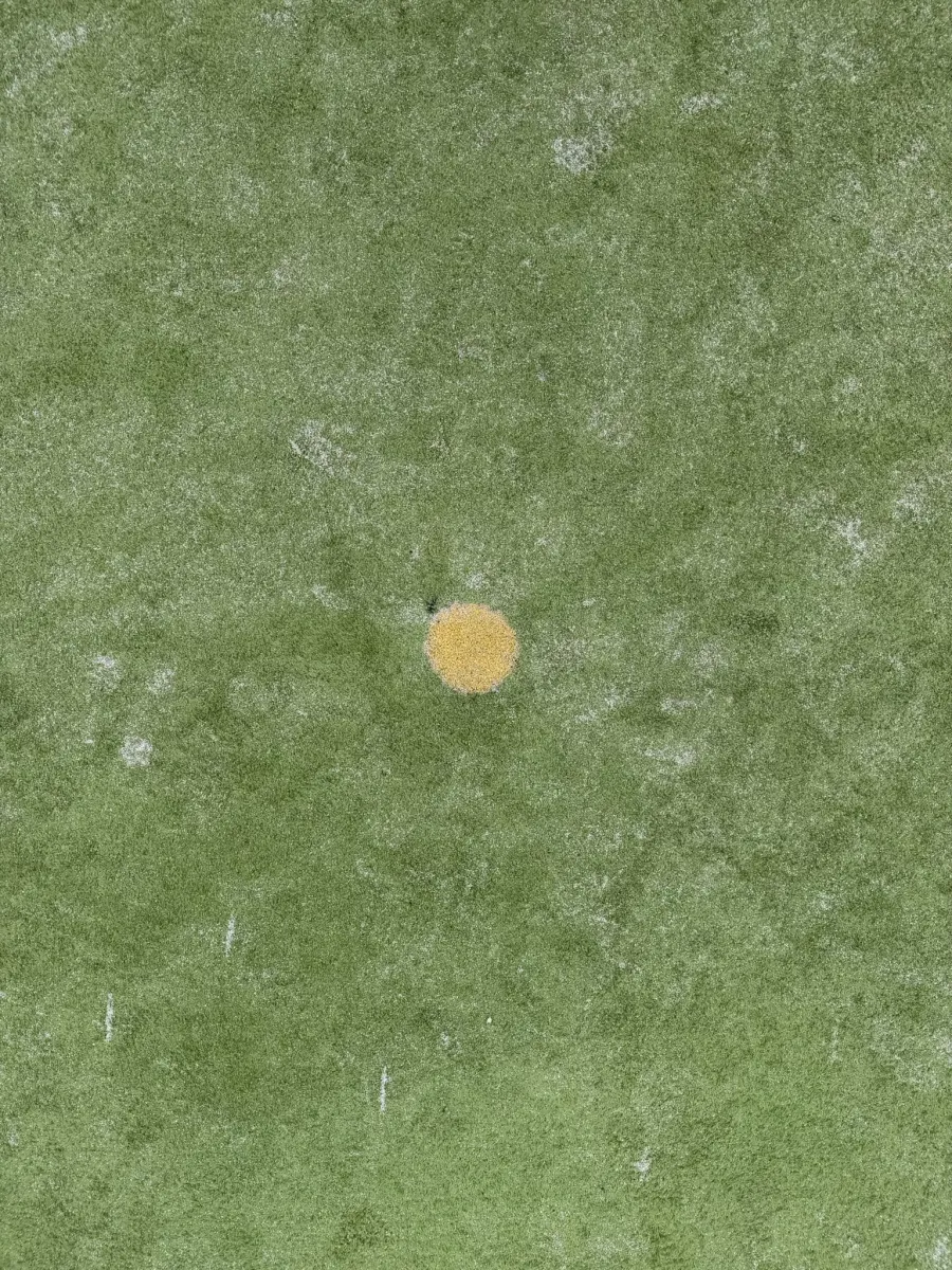 Strafbalstip veld 1